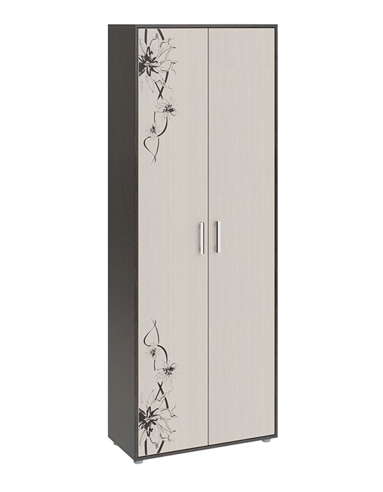 Витра шкаф комбинированный тип 1 (Т) (венге цаво, дуб белфорт с рисунком)